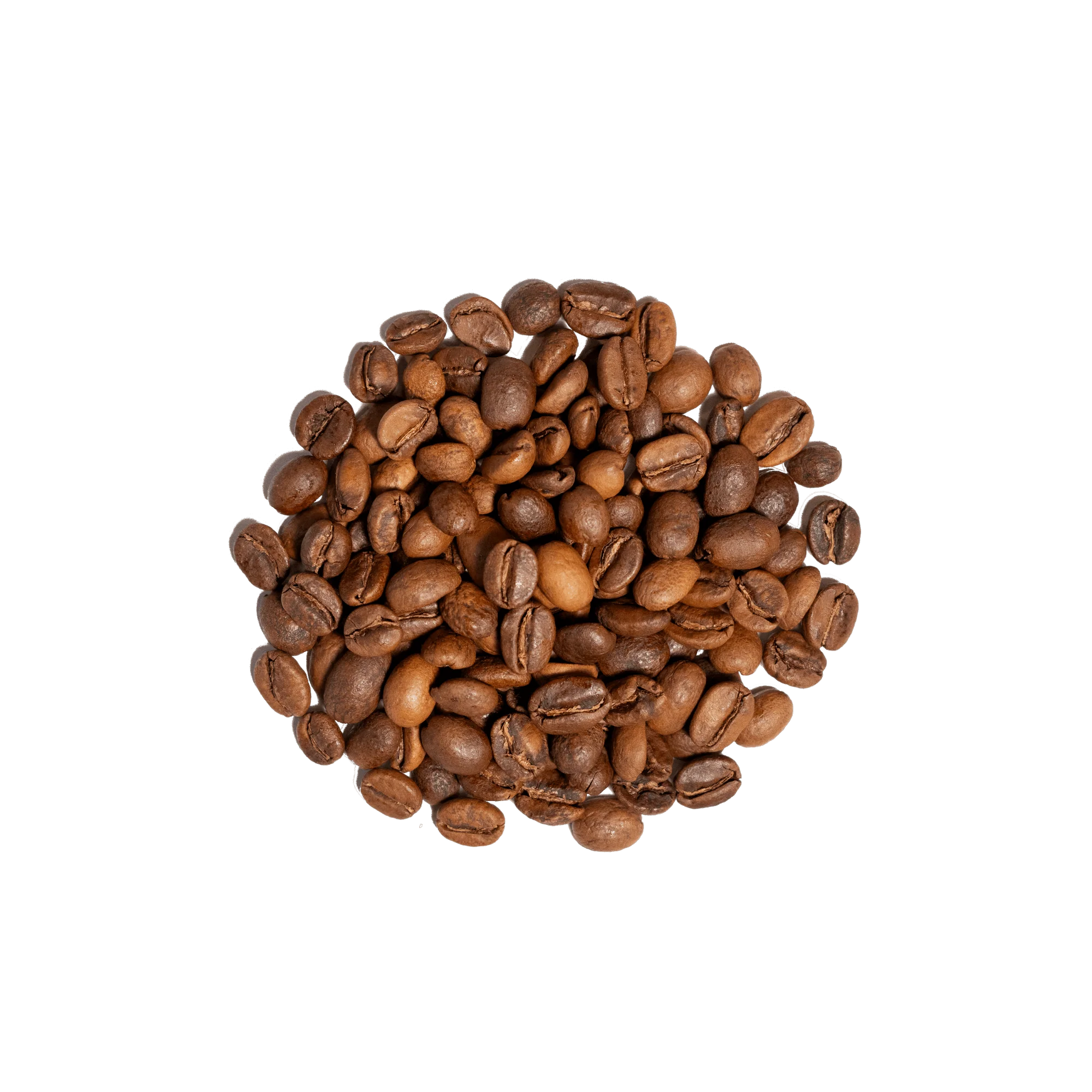 Ethiopia Worka Sakaro Anaerobic Natural - Image 6