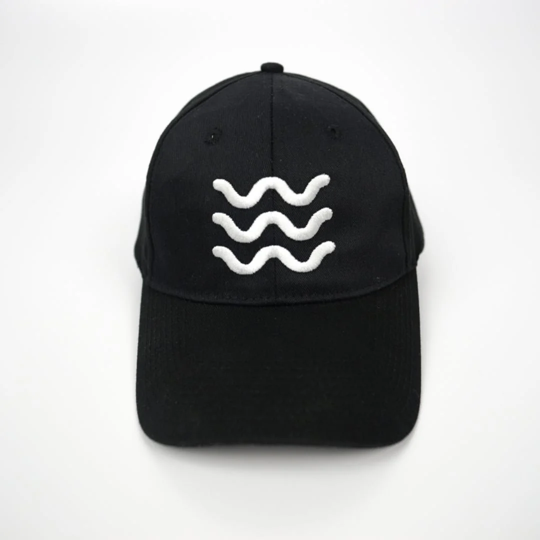TWW Logo Hat