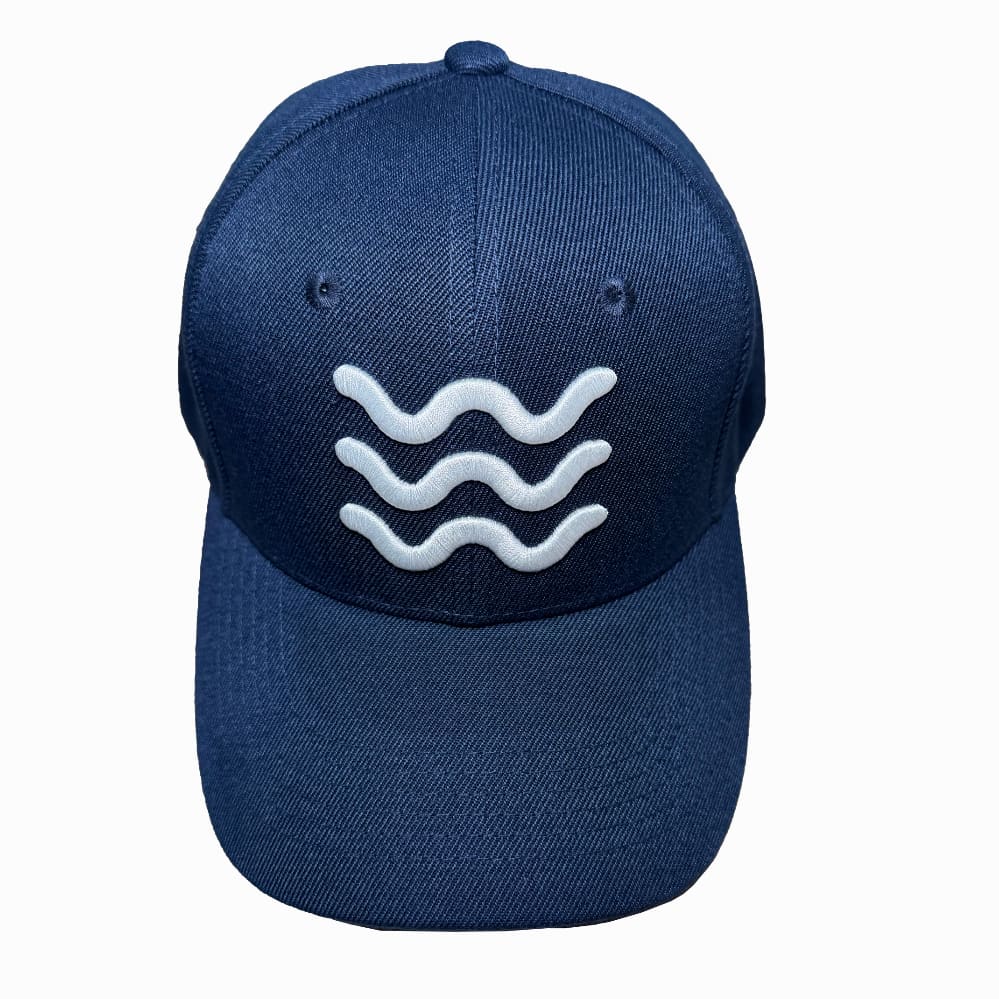TWW Logo Hat - Image 3
